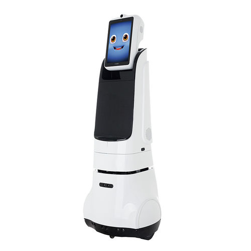 Le caratteristiche di leggerezza dei materiali PEEK ne fanno la prima scelta per i robot umanoidi.